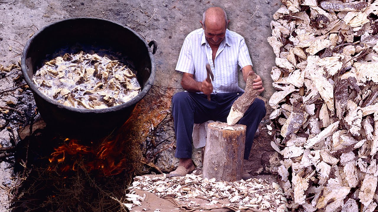 JABÓN CON RAÍCES. Uso tradicional de la raíz hervida de la albata para lavar la ropa | Documental